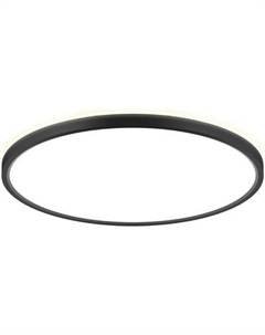 Потолочный светильник Citilux Norma CL748401