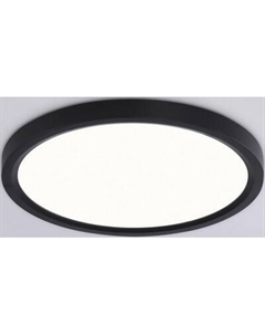 Потолочный светильник Ambrella Orbital FZ1904 BK