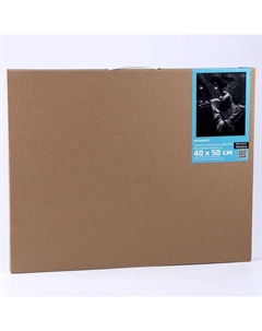 Картина по номерам на холсте с подрамником «Музыкант» 40×50 см Школа талантов