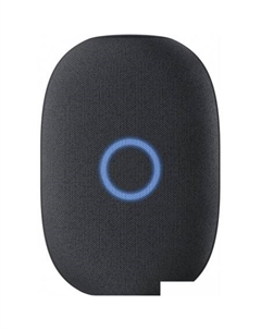 Умная колонка Капсула (черный) Vk