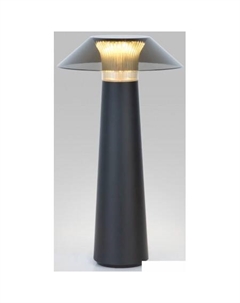 Настольная лампа Future TL70200 (черный) Elektrostandard