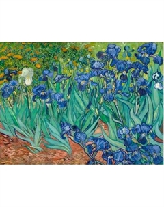 Постер Citydecor Ирисы. Винсент ван Гог