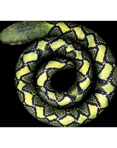 Мягкая игрушка Leader Toys Змея спираль / МТ11029 Leader toys