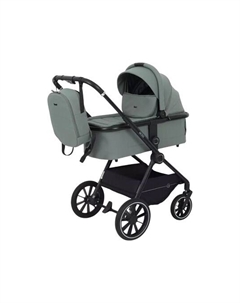 Детская универсальная коляска Rant Moss 2 в 1 / RA321