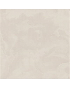 Виниловые обои Euphoria 8078-12 Euro decor