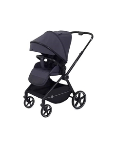Детская прогулочная коляска Rant Moss / RA323
