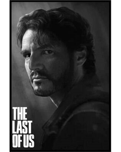 Постер Citydecor The Last Of Us 6