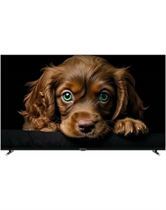 Телевизор Topdevice TDTV55CQ08U_BK