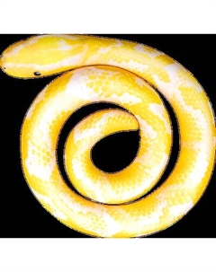 Мягкая игрушка Leader Toys Змея спираль / МТ11027 Leader toys