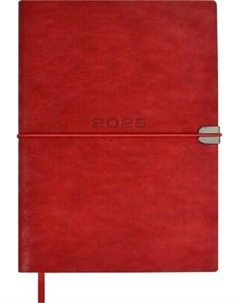 Ежедневник Илон Маск. Тиволи Глосс 2025 / 67013 Escalada