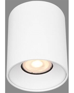 Потолочный светильник ST Luce ST167.502.01 St luce