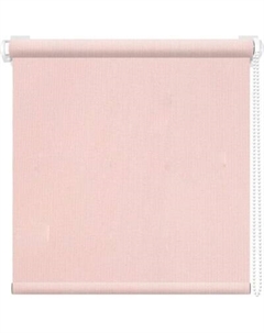 Рулонная штора АС МАРТ Моно 100x200 Ас март