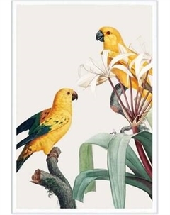 Постер Citydecor Попугайчики 1