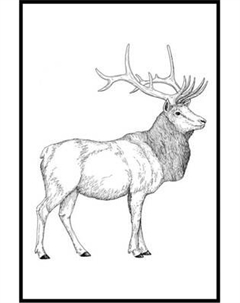 Постер Citydecor New Year 11