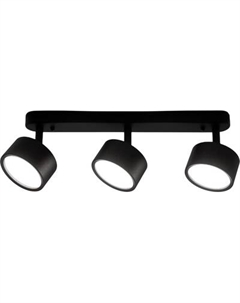 Спот Truenergy 21465