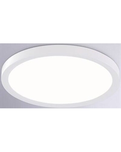 Потолочный светильник Ambrella Orbital FZ1903 WH