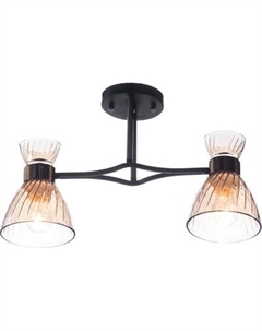 Потолочный светильник НПБ 02-2x60-101 / 6198/2 Aitin-pro