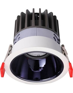 Точечный светильник Truenergy 10563