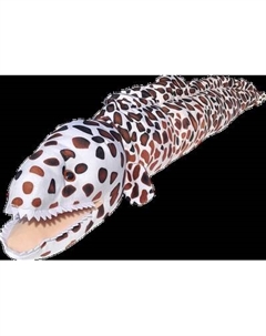 Подушка-игрушка Malvina Мурена / 15.158.2 Мальвина