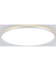 Потолочный светильник Citilux Norma CL748600