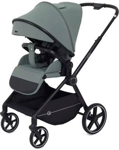 Детская прогулочная коляска Rant Moss / RA323