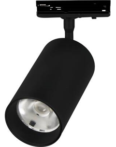 Трековый светильник Truenergy 24040