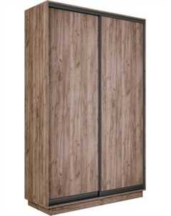 Шкаф-купе ТриЯ Румер-2 СШК 3.120.60-11.11 2-х дверный Трия