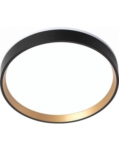 Потолочный светильник Citilux Etalon CL750241