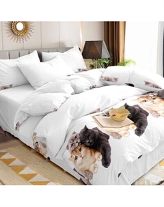 Комплект постельного белья Британцы Евро / 150-0328 Царство сновидений