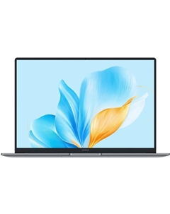 Ноутбук Honor MagicBook X16 2025 BRG-585 (5301ALWQ)