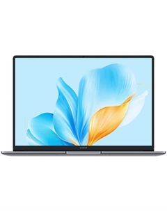 Ноутбук Honor MagicBook X14 2025 FRG-X (5301ALXL)