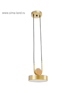 Светильник 35425/1 LED 24 Вт 3000-6000К золотой 18×18×20 см Bayerlux