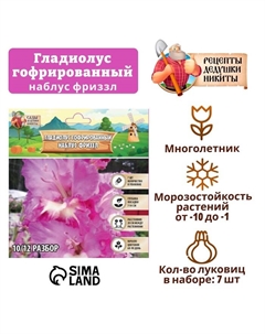 Гладиолус гофрированный "Наблус Фриззл", р-р 8/10, 7 шт Сады дедушки никиты