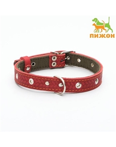 Ошейник комбинированный кожа/брезент, безразмерный, 56 х 2,5 см, ОШ 25-51 см, красный Пижон