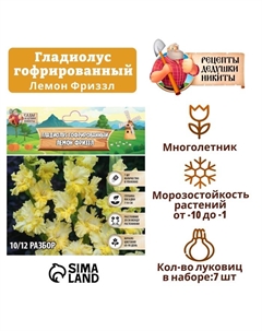 Гладиолус гофрированный "Лемон Фриззл", р-р 8/10, 7 шт Сады дедушки никиты