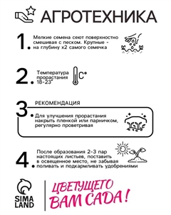 Семена Петуния "Мамбо" F1 белая многоцветковая,набор 5 шт Мой выбор