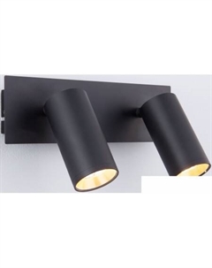 Точечный светильник 20066/2 (черный) Евросвет
