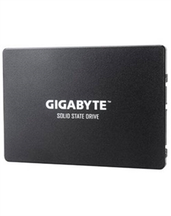 SSD 256GB GP-GSTFS31256GTND Gigabyte