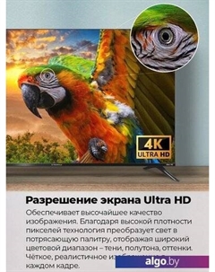 Телевизор MAUNFELD MLT55USD02 Maunfeld