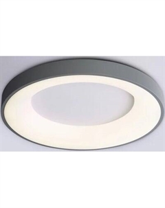 Потолочный светильник Ambrella Orbital FZ1402 GR