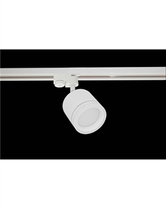 Светильник трековый Track 15Вт GX53 белый 21128 Truenergy