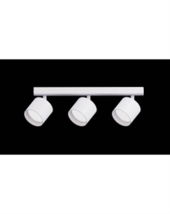 Светильник наст.-пот. (спот) Modern 3х12Вт GX53 белый 21383 Truenergy