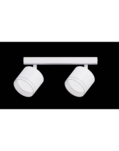 Светильник наст.-пот. (спот) Modern 2х12Вт GX53 белый 21391 Truenergy