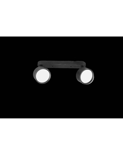 Светильник наст.-пот. (спот) Modern 2х17Вт GX53 черный 21464 Truenergy