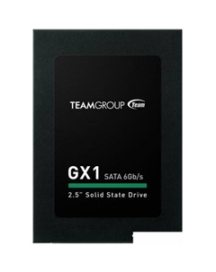 SSD GX1 120GB T253X1120G0C101 Team