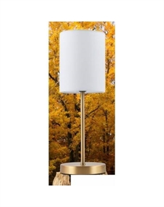 Настольная лампа HT-798BRS Artstyle