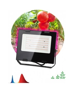 Садовый светильник FITO-50W-RB-LED Эра