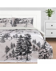 Постельное белье Winter Landscape 2сп 9823937 Этель