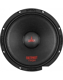 Среднечастотная АС АС-ПТ 165.2 Гром Урал