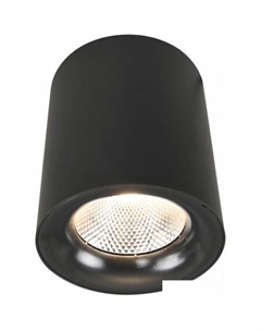 Точечный светильник Facile A5118PL-1BK Arte lamp